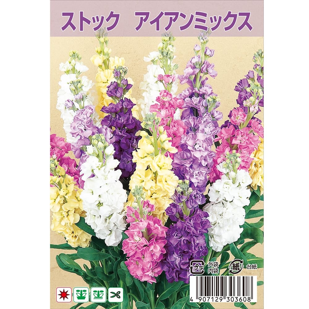 ストック アイアンミックス 苗 販売 苗木部 By 花ひろばオンライン