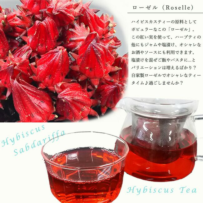 ローゼル ローゼル 苗 販売 苗木部 By 花ひろばオンライン