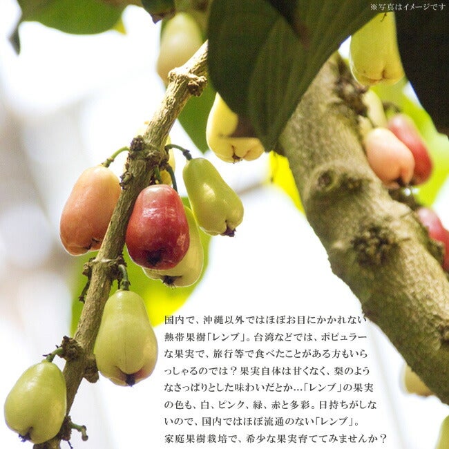 000000039029-07.jpg?size=l&w=