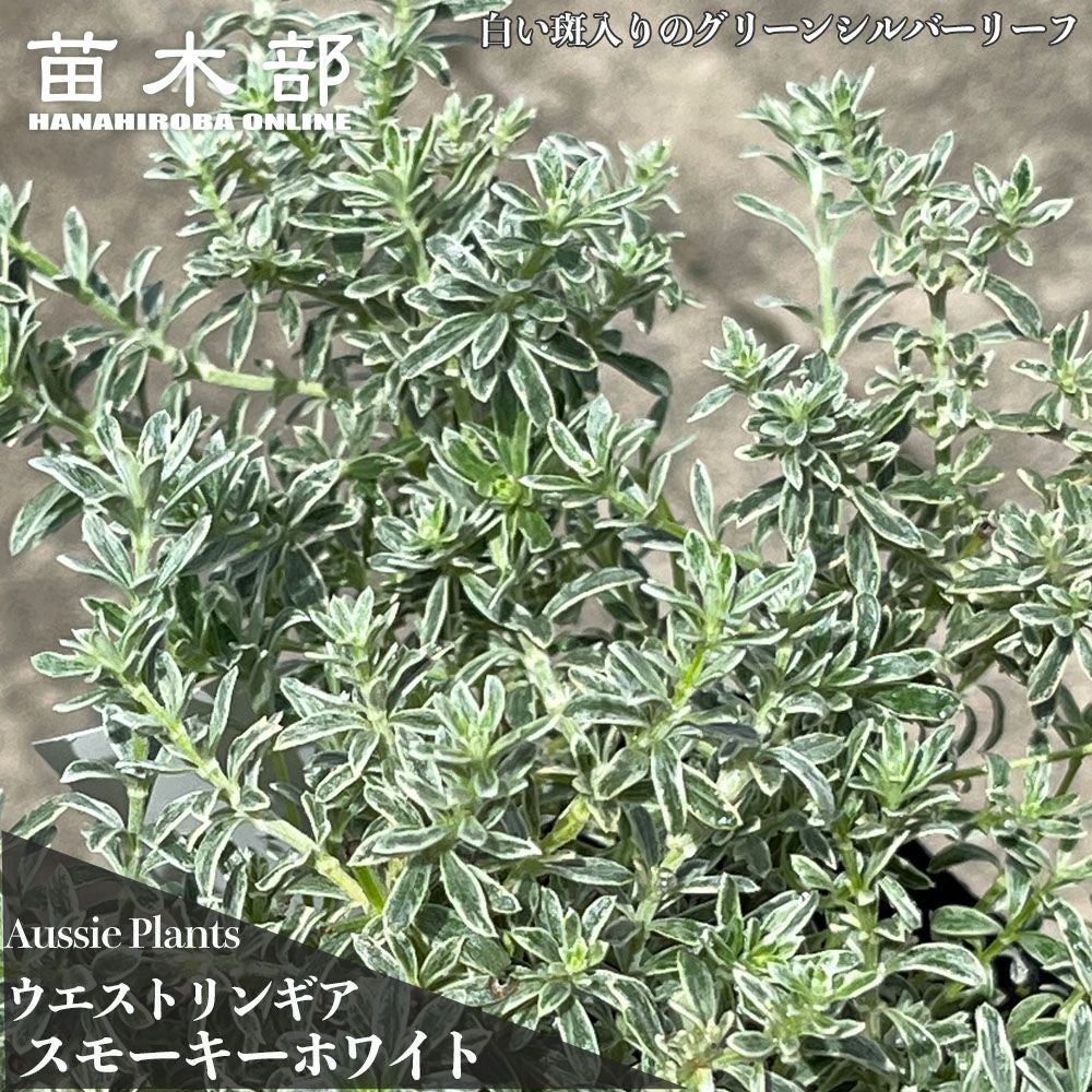 000000139248-01.jpg?size=l&w=