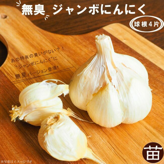 000000039839-01.jpg?size=l&w=