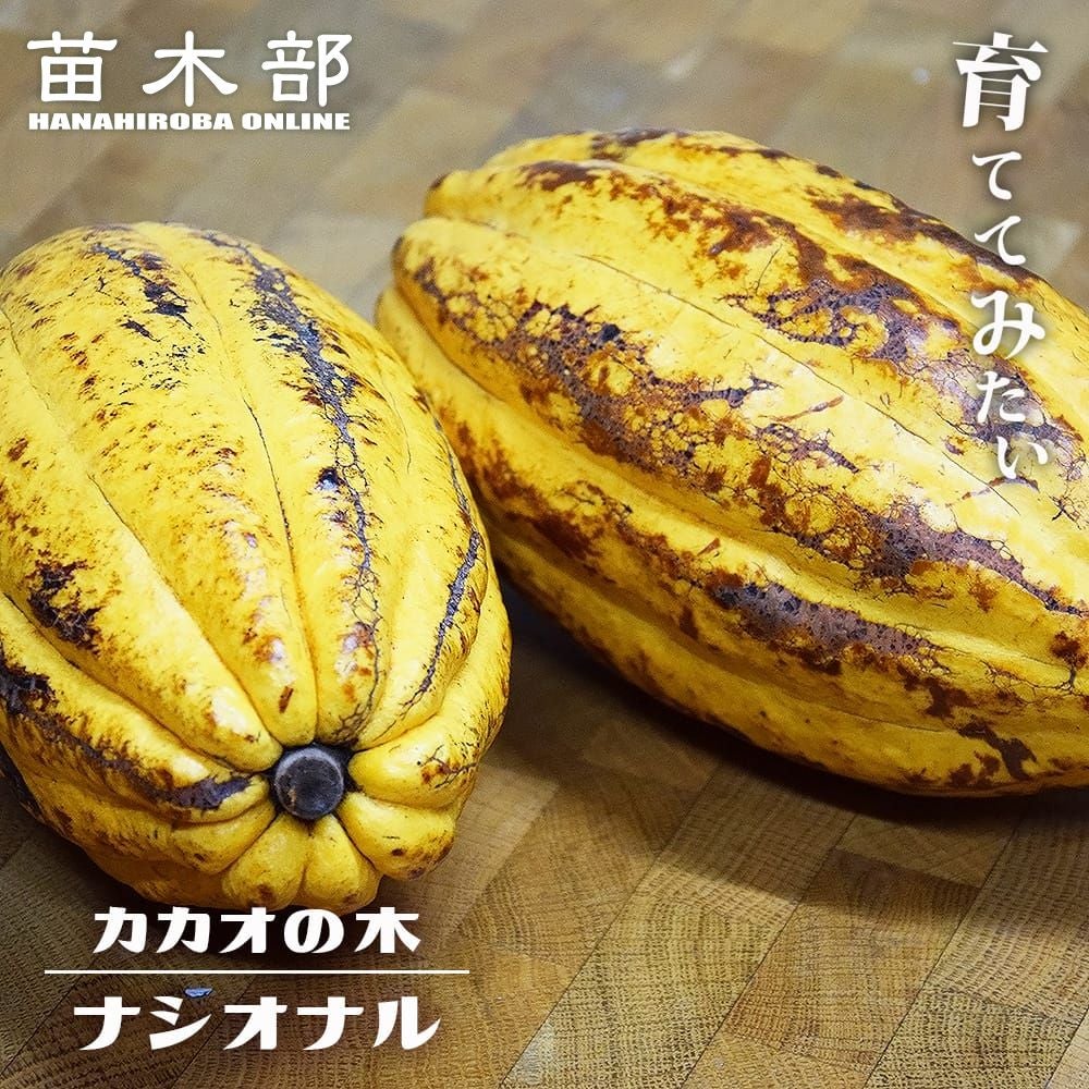 000000140034-01.jpg?size=m&w=