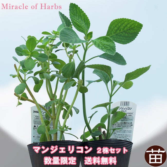 000000040198-01.jpg?size=m&w=