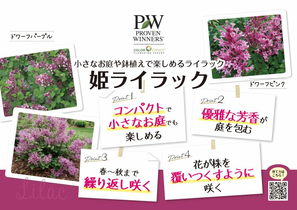 000000140345-02.jpg?size=l&w=