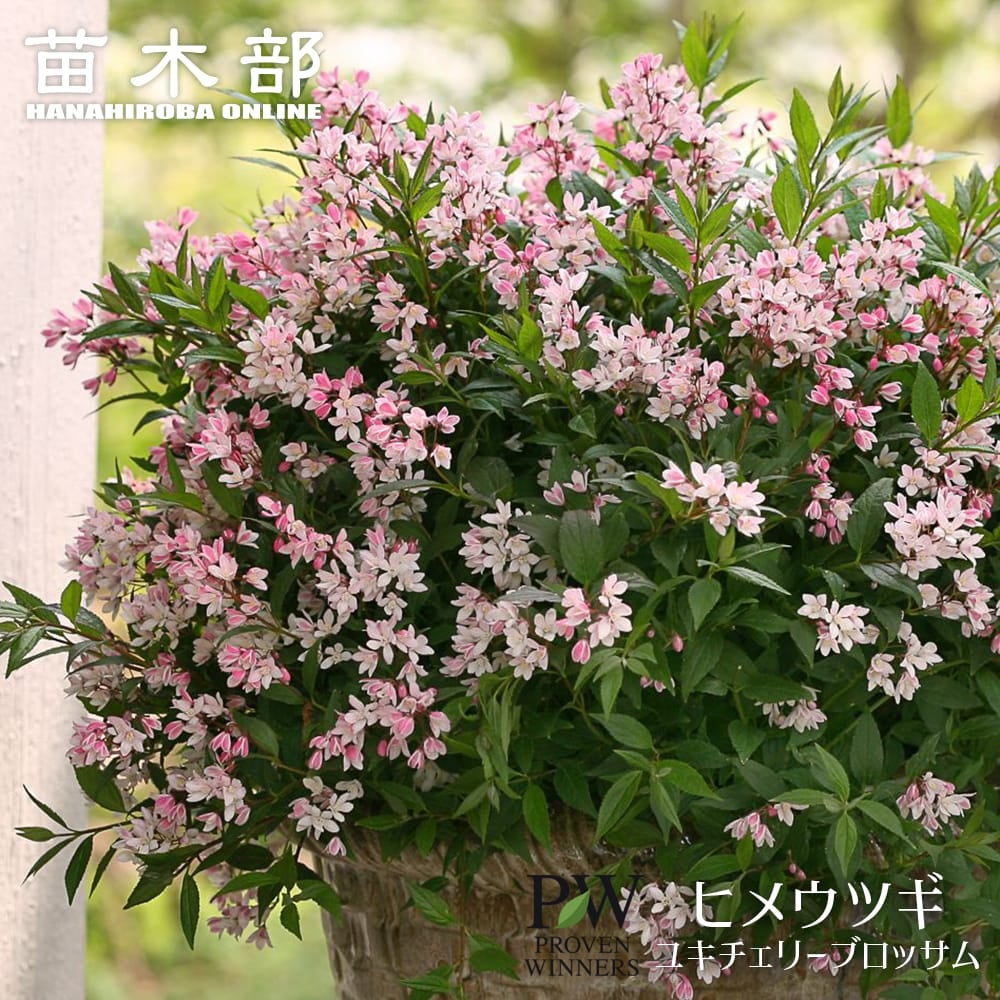 000000140355-01.jpg?size=m&w=