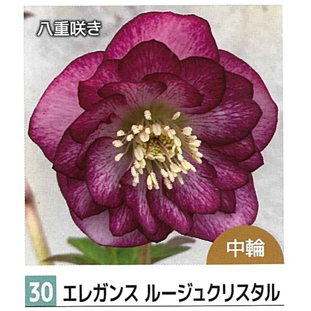 000000141012-02.jpg?size=l&w=