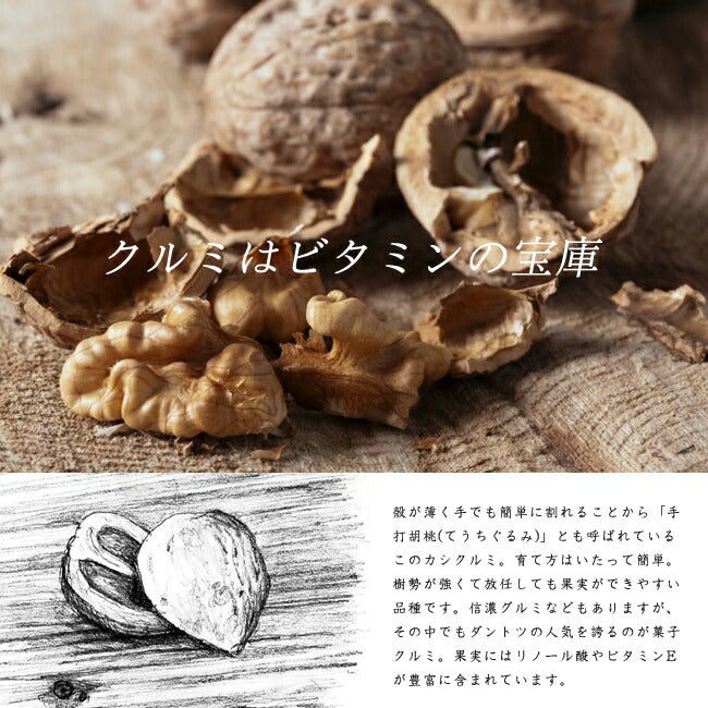 000000041502-02.jpg?size=l&w=
