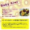 ベビーキウイ パープルシャドー（メス）1年生挿し木 ポット苗