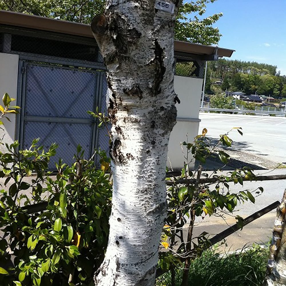 000000042319-02.jpg?size=l&w=