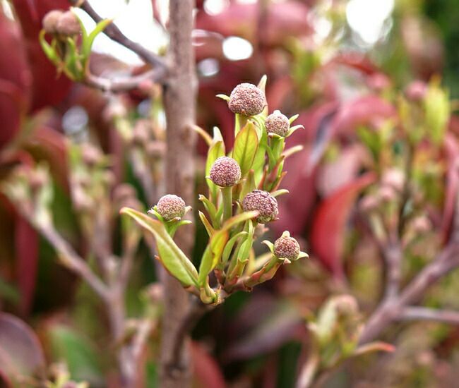 000000042320-07.jpg?size=l&w=