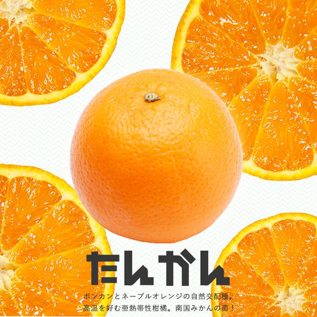 000000042643-05.jpg?size=l&w=
