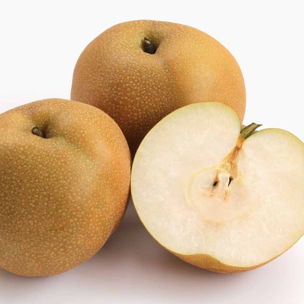 000000042770-02.jpg?size=l&w=