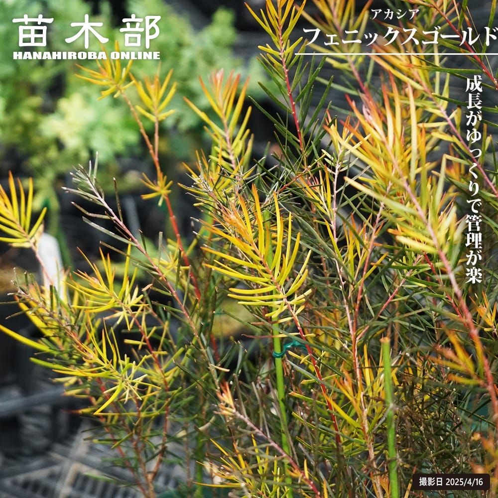 000000142876-01.jpg?size=l&w=