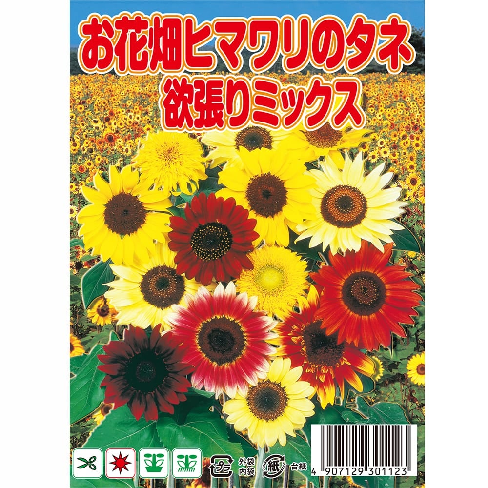 ひまわり ヒマワリのタネ欲張りミックス 苗 販売 苗木部 By 花ひろば