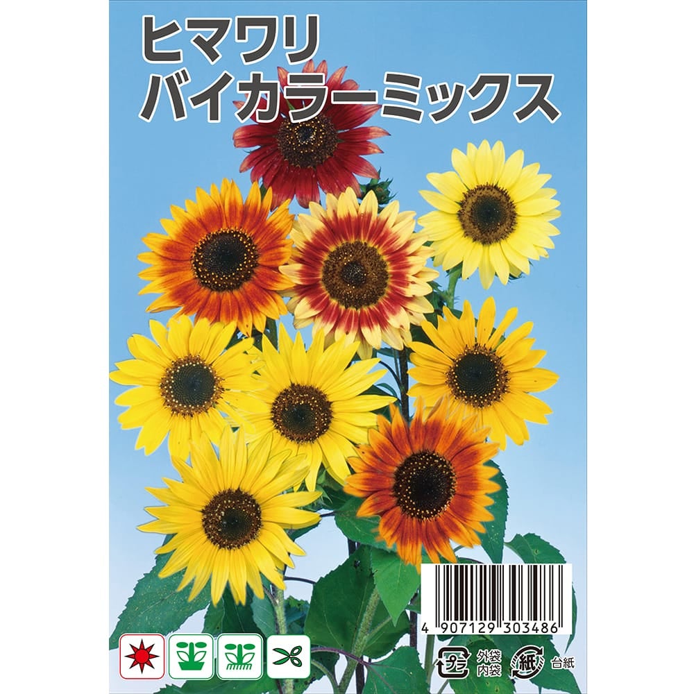ひまわり バイカラーミックス 苗 販売 苗木部 By 花ひろばオンライン