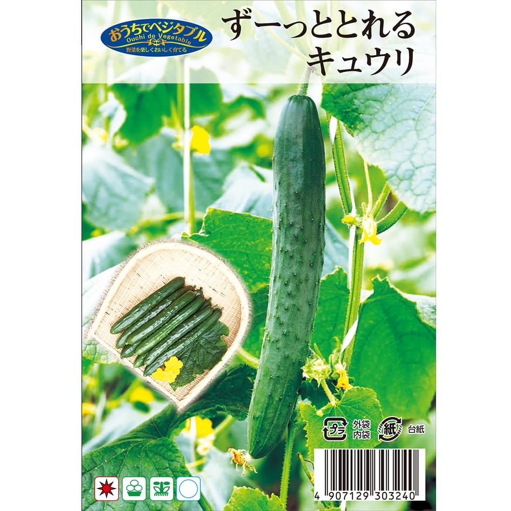 きゅうり ず～っととれるキュウリ 苗 販売 苗木部 By 花ひろばオンライン