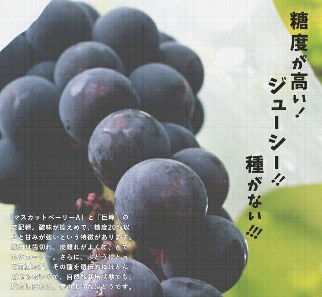 000000043559-02.jpg?size=l&w=