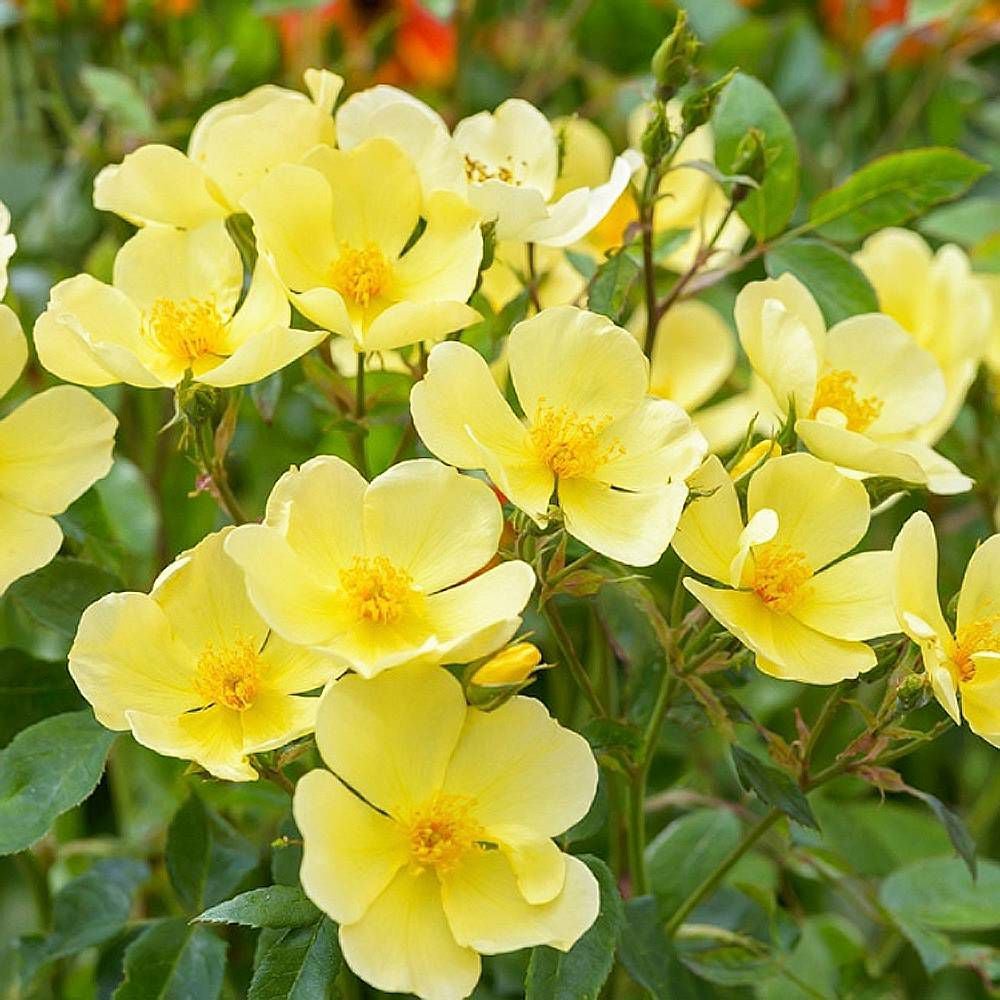 000000043654-07.jpg?size=l&w=