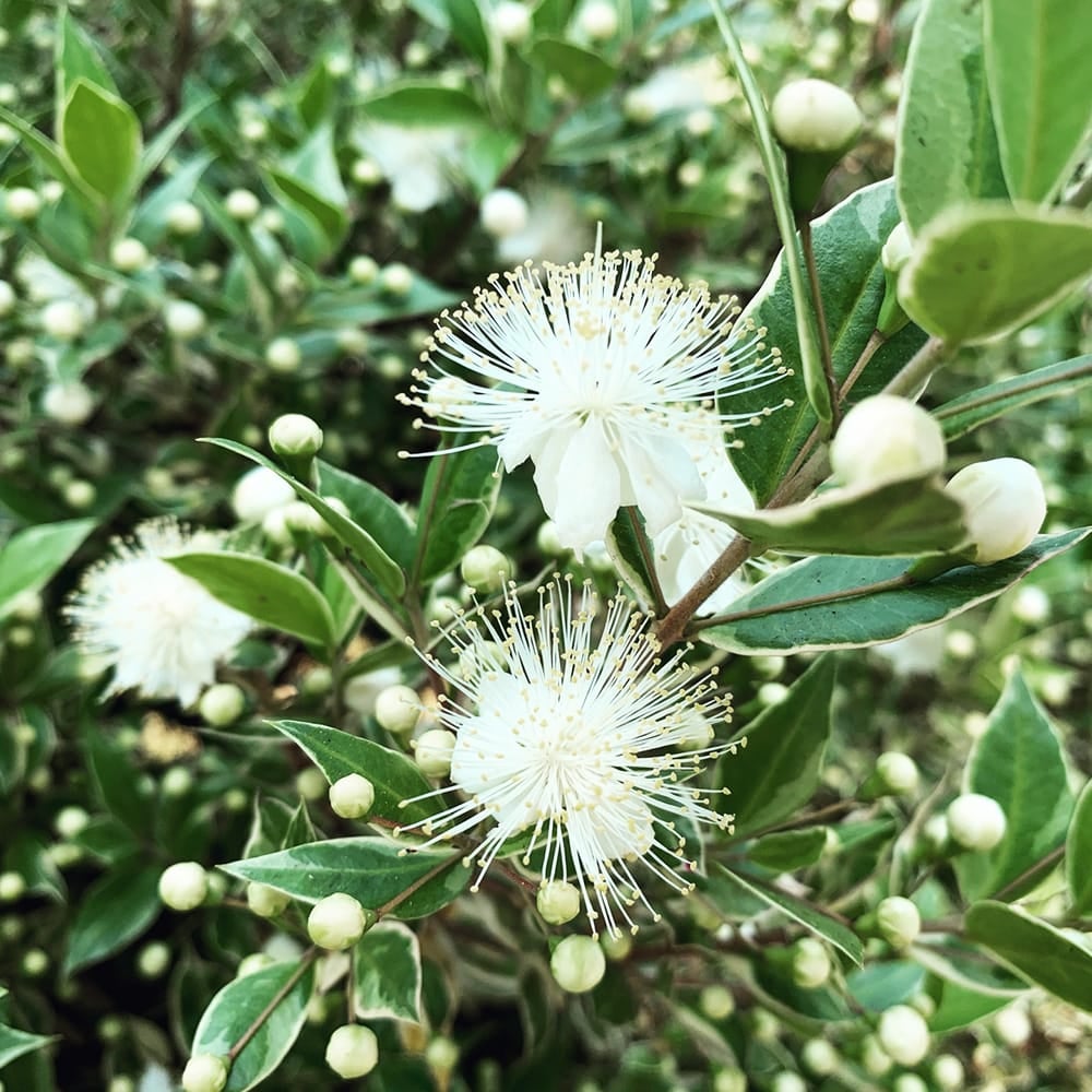 000000143861-02.jpg?size=l&w=