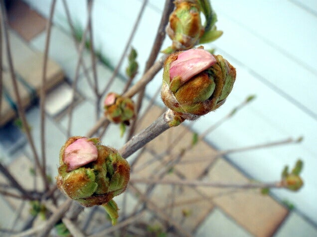 000000143862-08.jpg?size=l&w=