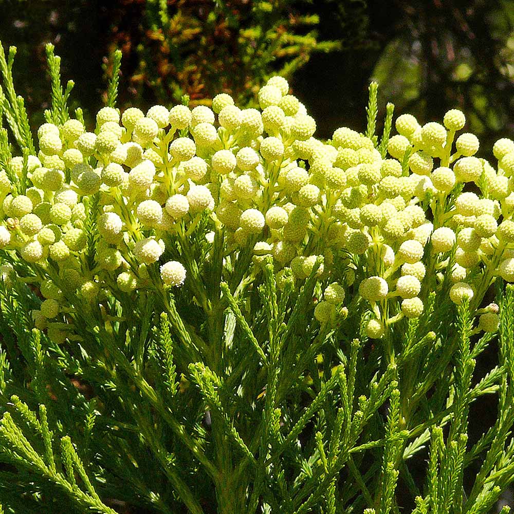 000000143864-02.jpg?size=l&w=