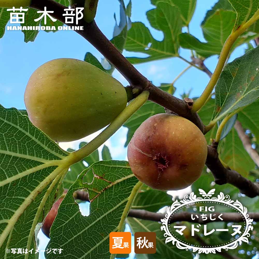 000000143868-01.jpg?size=l&w=