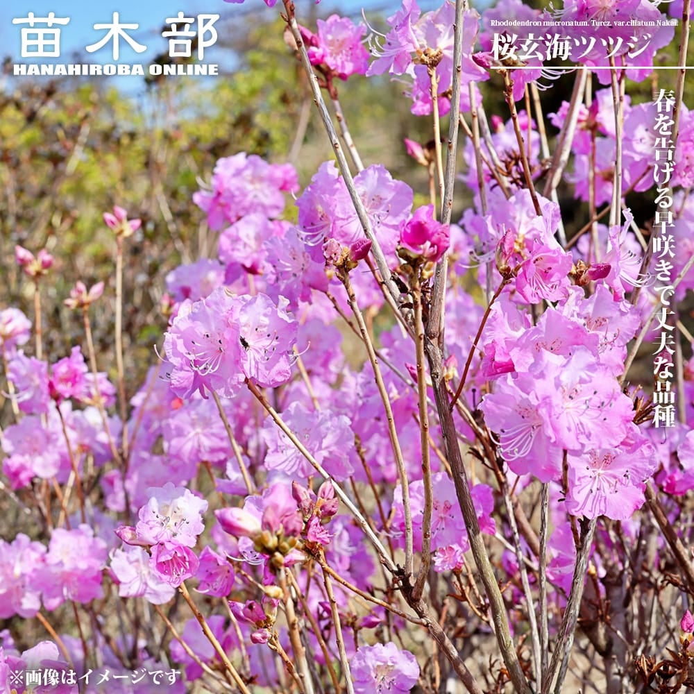 000000144247-01.jpg?size=l&w=