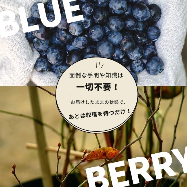 000000045215-05.jpg?size=l&w=