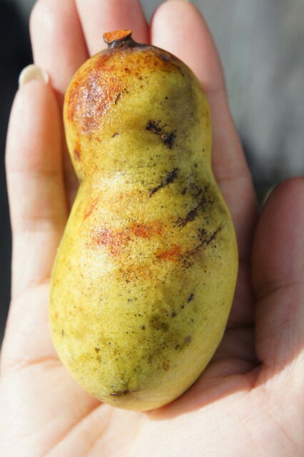 000000045974-01.jpg?size=m&w=