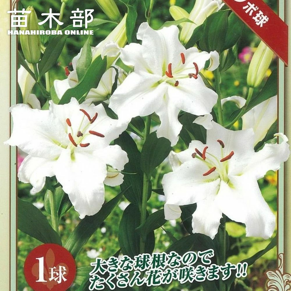 000000047463-01.jpg?size=l&w=