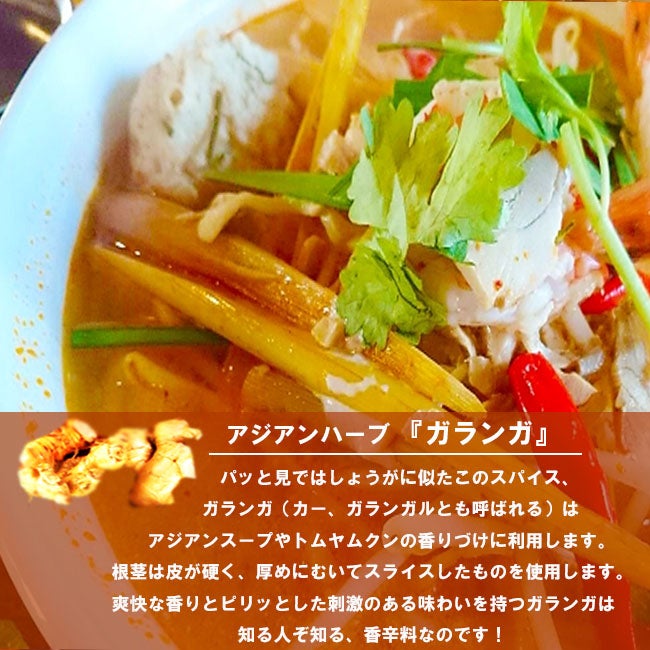 ガランガ ガランガ 苗 販売 苗木部 By 花ひろばオンライン