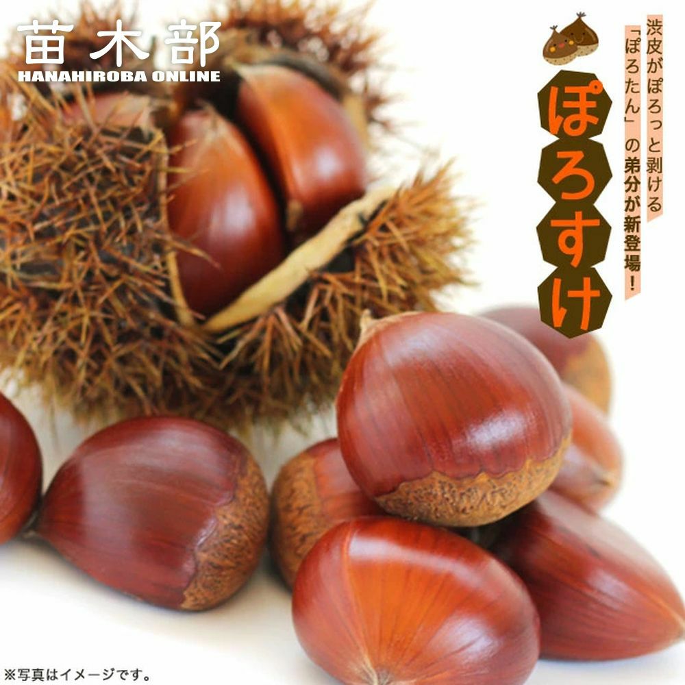 000000048076-01.jpg?size=l&w=