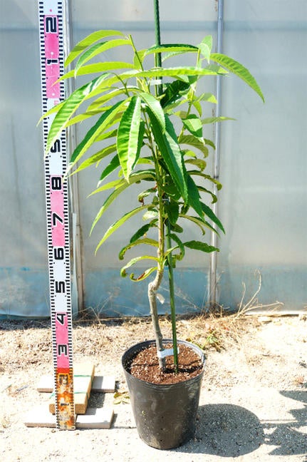 000000048076-03.jpg?size=l&w=