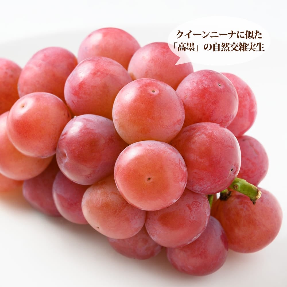 信濃スマイル　箱込み4キロ 000000048109-02.jpg?size=l&w=