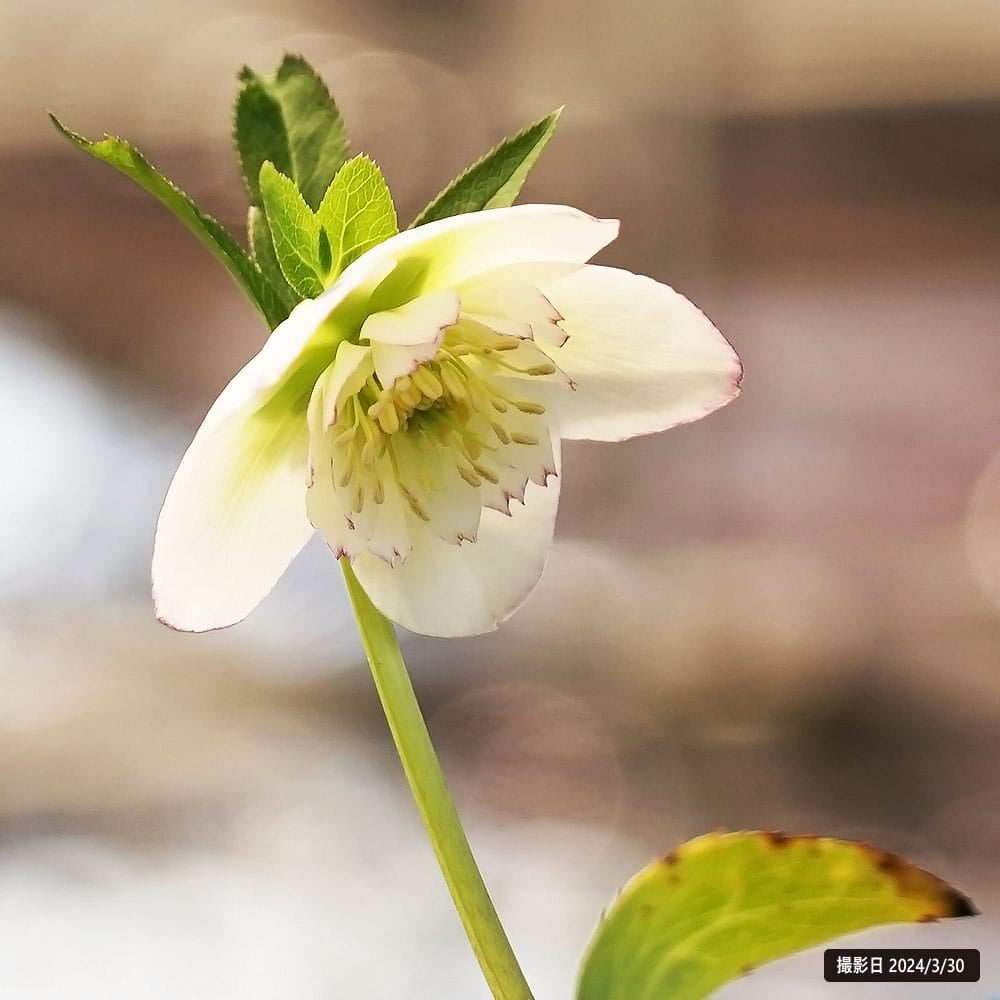 000000048171-04.jpg?size=l&w=