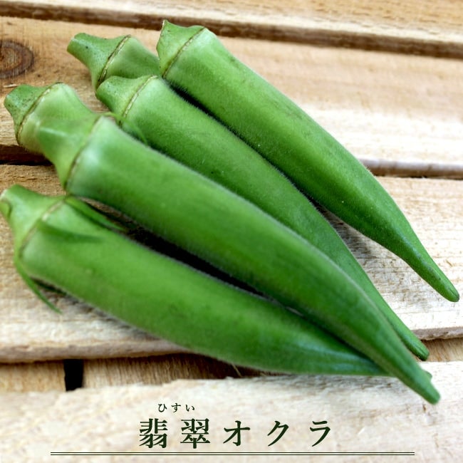 有機種子】 オクラ/翡翠オクラ Sサイズ 30粒 種蒔時期 4～5月 | 苗木部