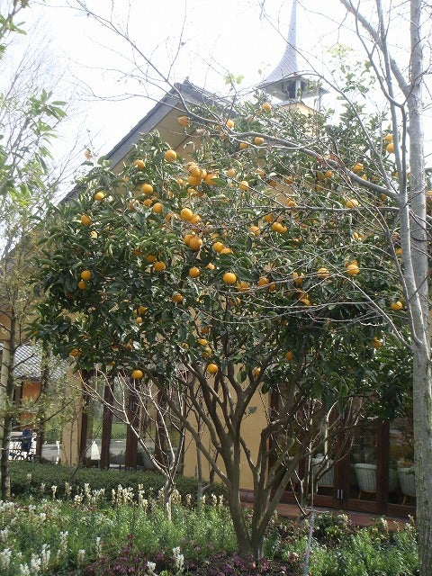 000000049013-02.jpg?size=l&w=