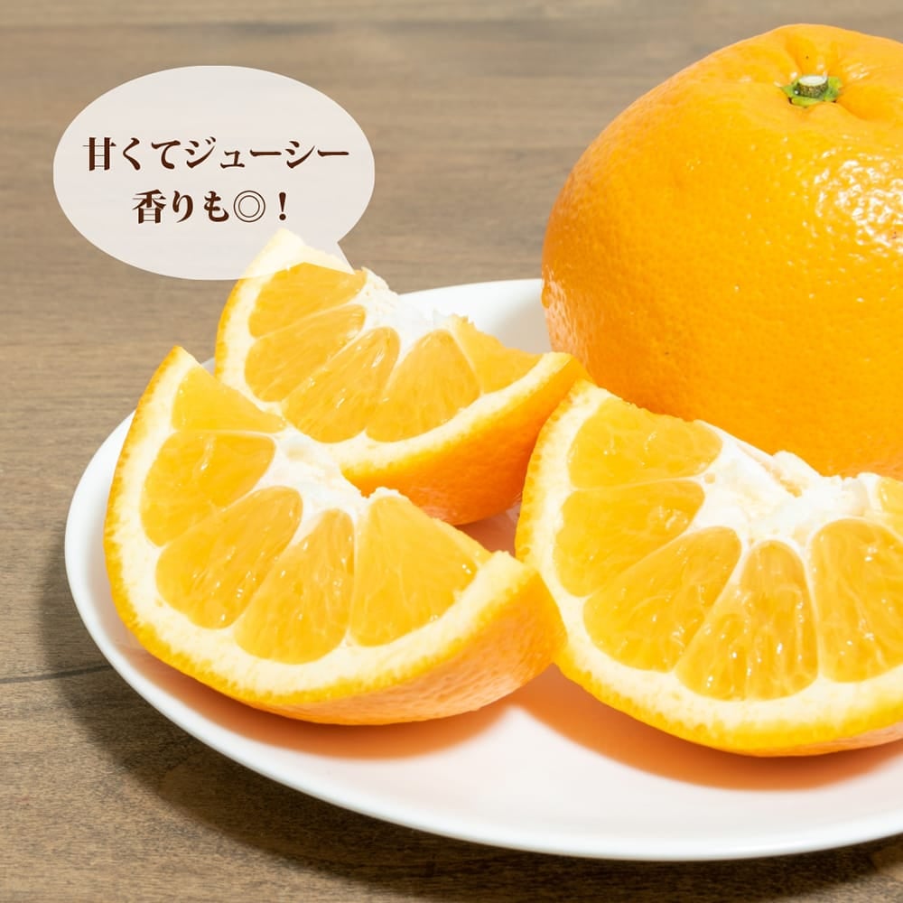 柑橘苗木 2セット　不知火/伊予柑 柑橘 いよかん 苗 販売 苗木部 By 花ひろばオンライン