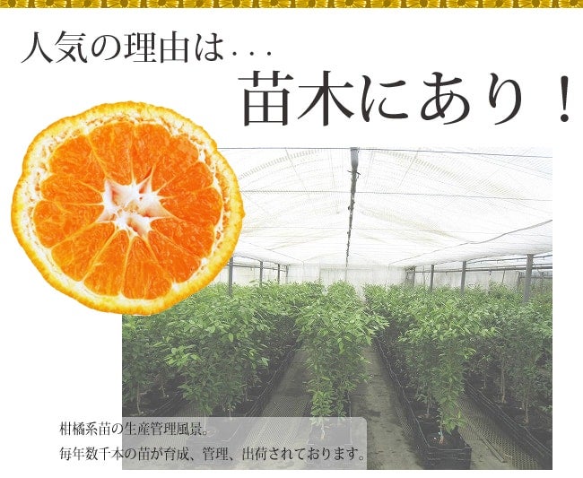 000000049022-04.jpg?size=l&w=