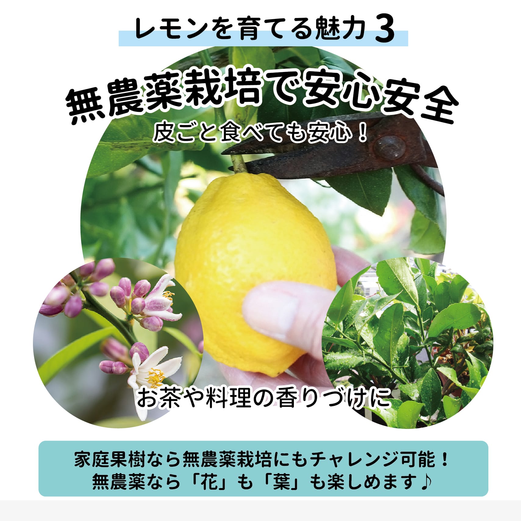 000000049025-04.jpg?size=l&w=