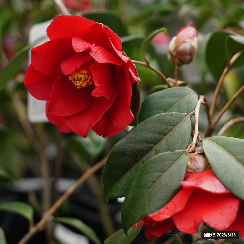 000000049291-07.jpg?size=l&w=