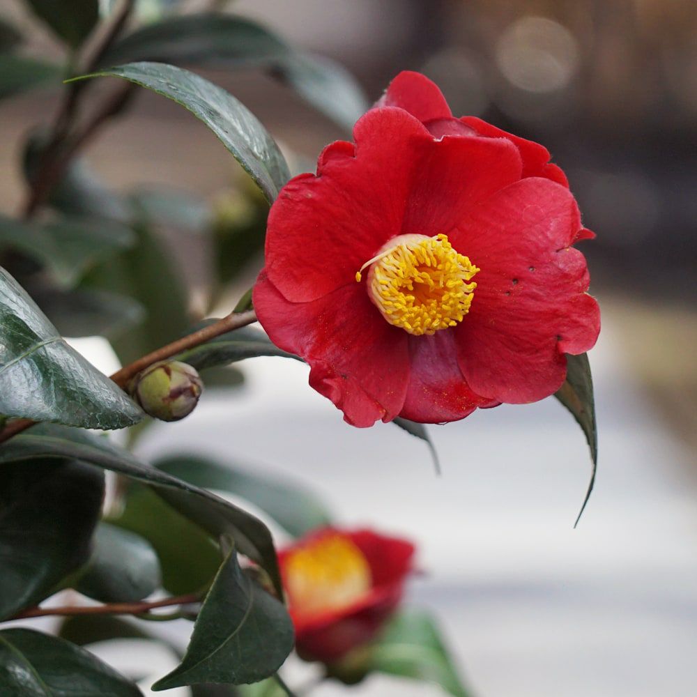 000000049309-05.jpg?size=l&w=