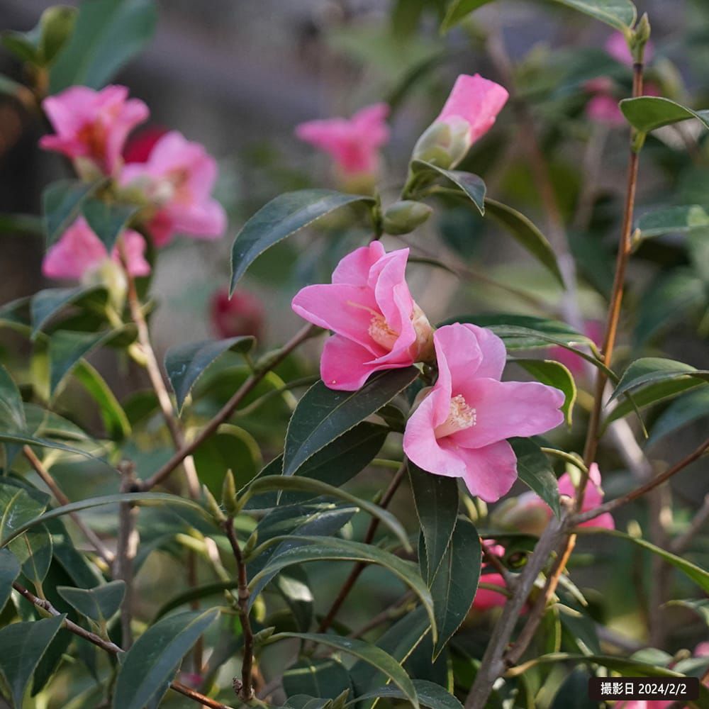 000000049412-02.jpg?size=l&w=