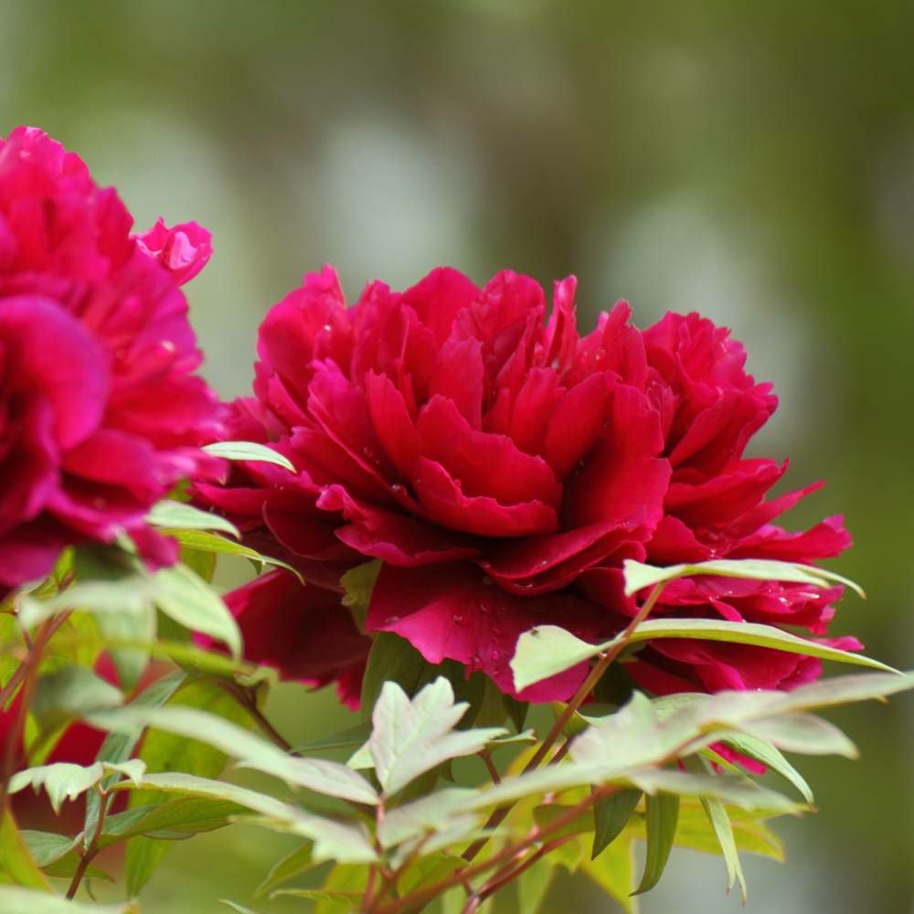 000000049710-07.jpg?size=l&w=