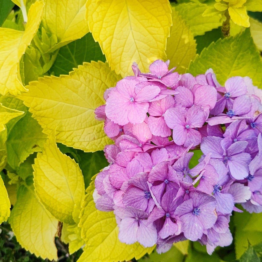 000000049728-02.jpg?size=l&w=