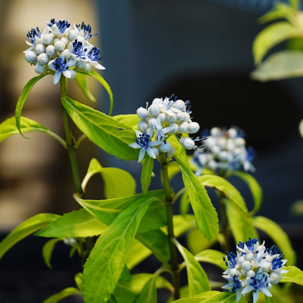 000000049730-08.jpg?size=l&w=