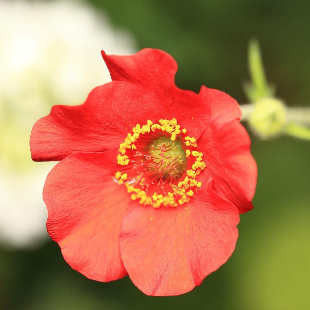 000000049770-06.jpg?size=l&w=