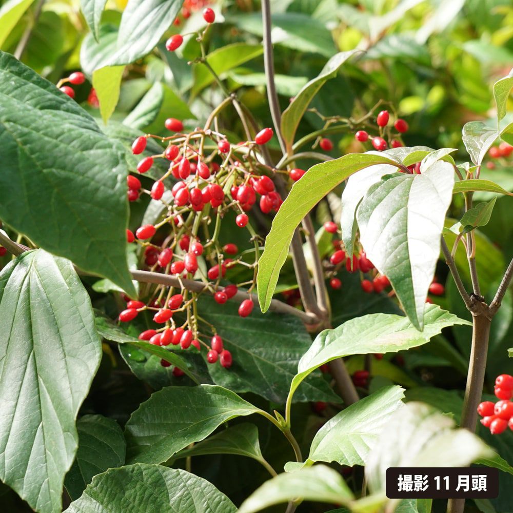 000000049824-03.jpg?size=l&w=