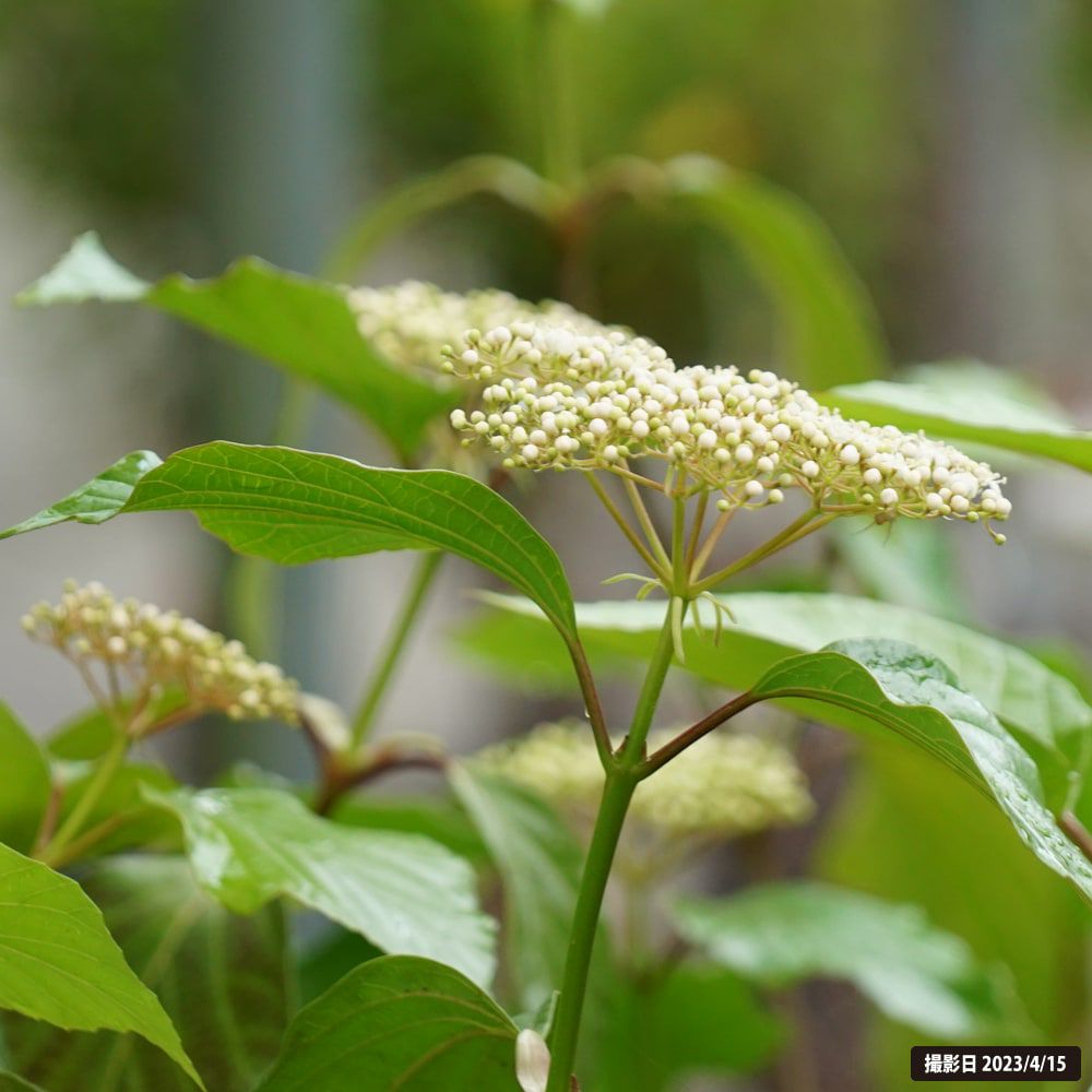 000000049824-06.jpg?size=l&w=