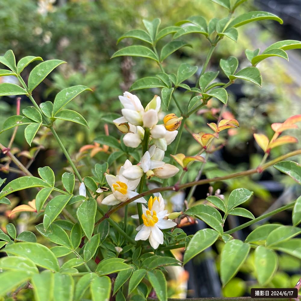 000000050112-02.jpg?size=l&w=